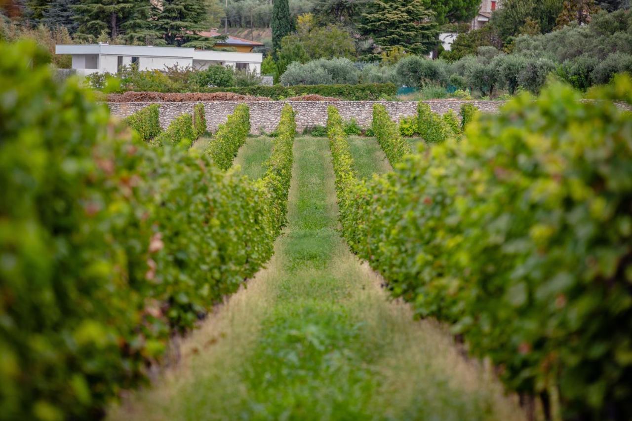Agriturismo Borgata Levita Bardolino Eksteriør bilde