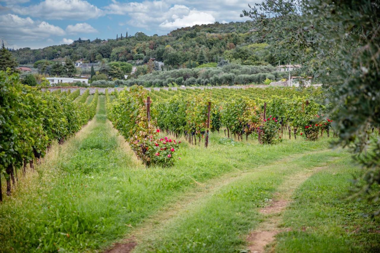 Agriturismo Borgata Levita Bardolino Eksteriør bilde